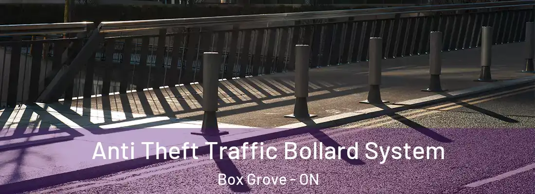  Anti Theft Traffic Bollard System Box Grove - ON