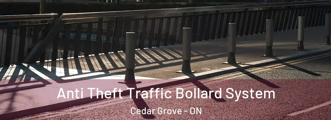 Anti Theft Traffic Bollard System Cedar Grove - ON