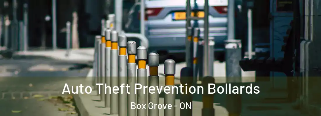  Auto Theft Prevention Bollards Box Grove - ON