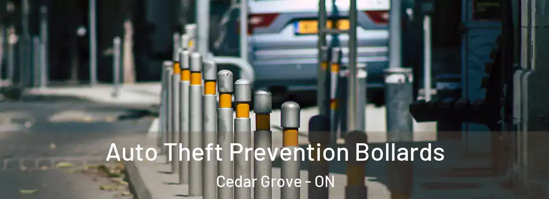  Auto Theft Prevention Bollards Cedar Grove - ON