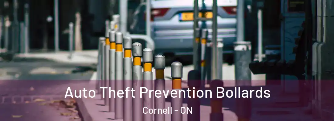  Auto Theft Prevention Bollards Cornell - ON