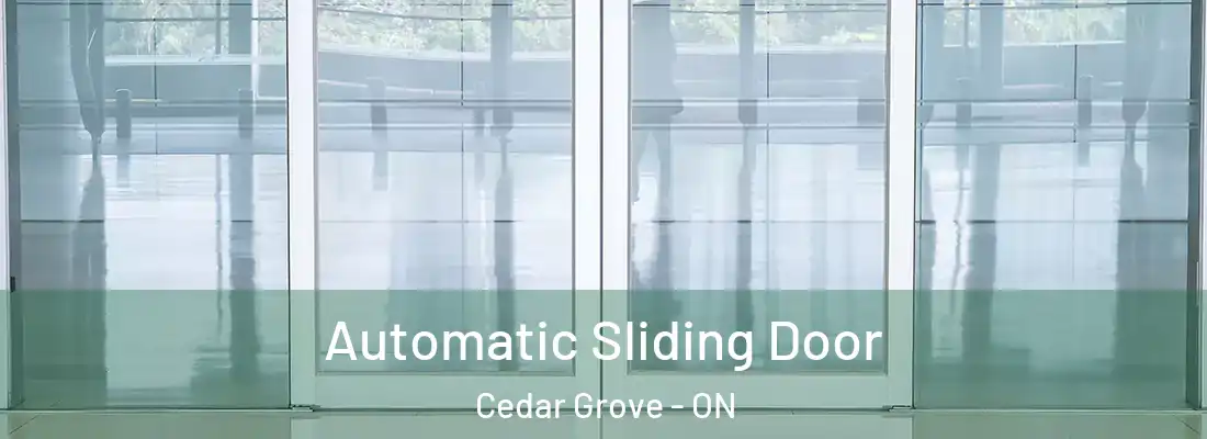  Automatic Sliding Door Cedar Grove - ON