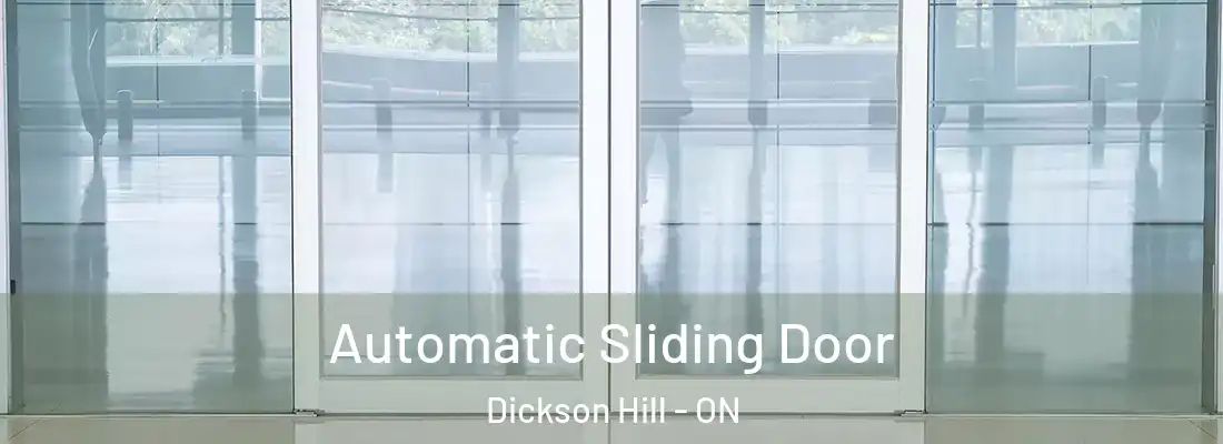  Automatic Sliding Door Dickson Hill - ON