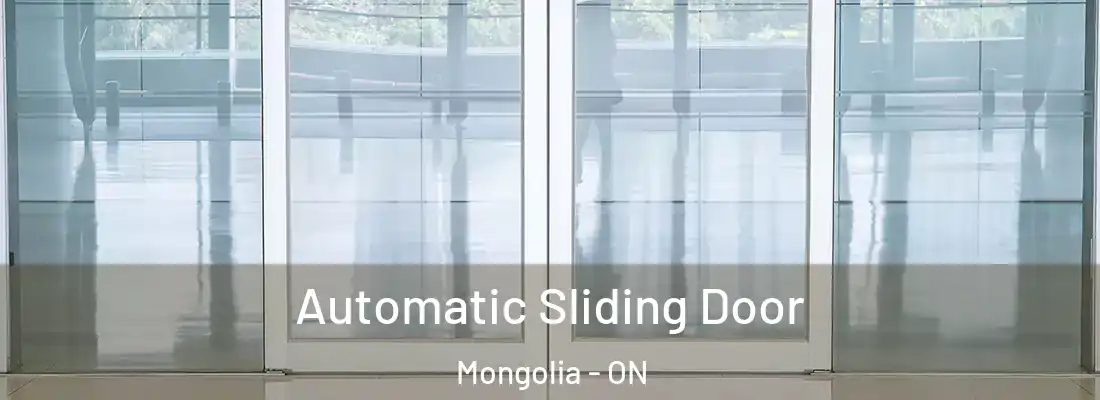  Automatic Sliding Door Mongolia - ON