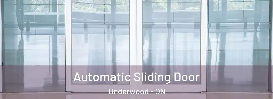  Automatic Sliding Door Underwood - ON