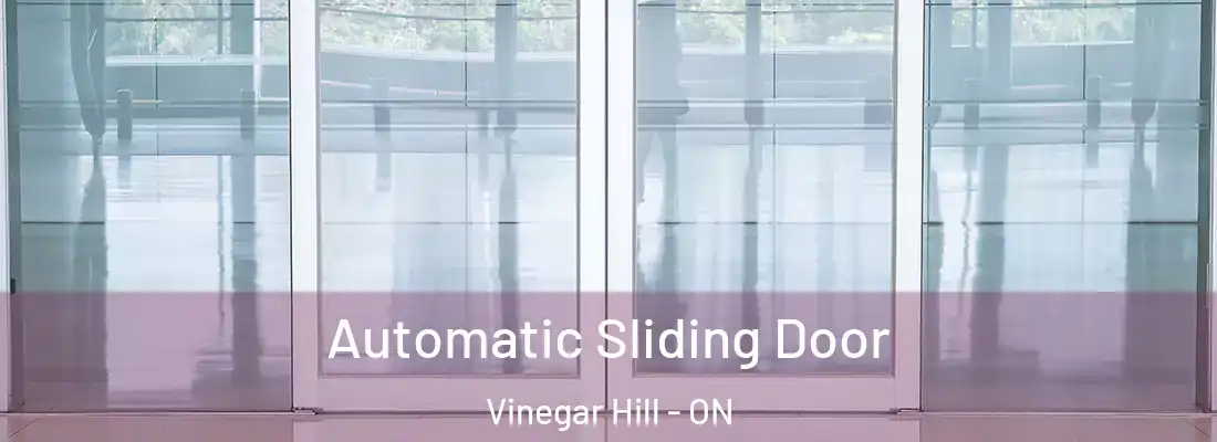  Automatic Sliding Door Vinegar Hill - ON