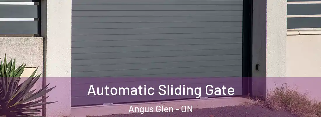  Automatic Sliding Gate Angus Glen - ON