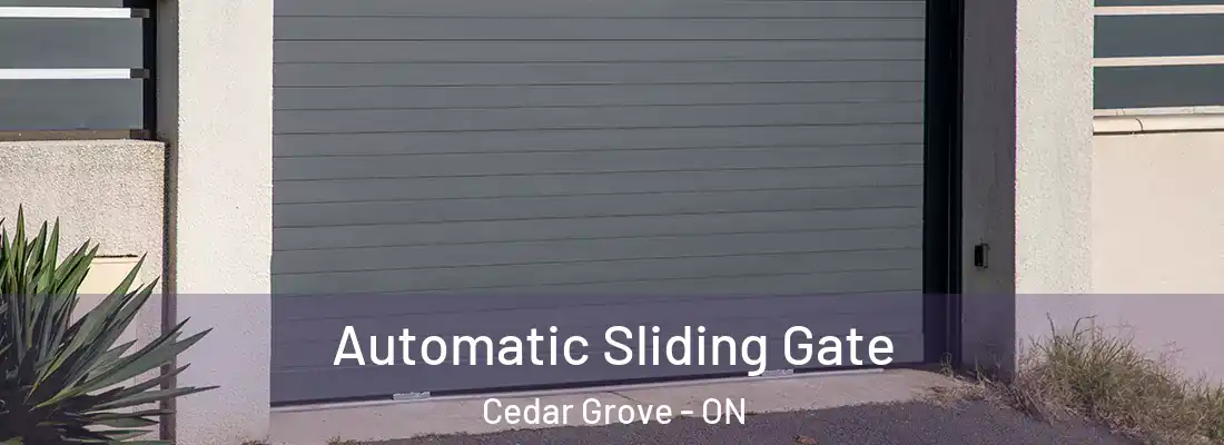  Automatic Sliding Gate Cedar Grove - ON