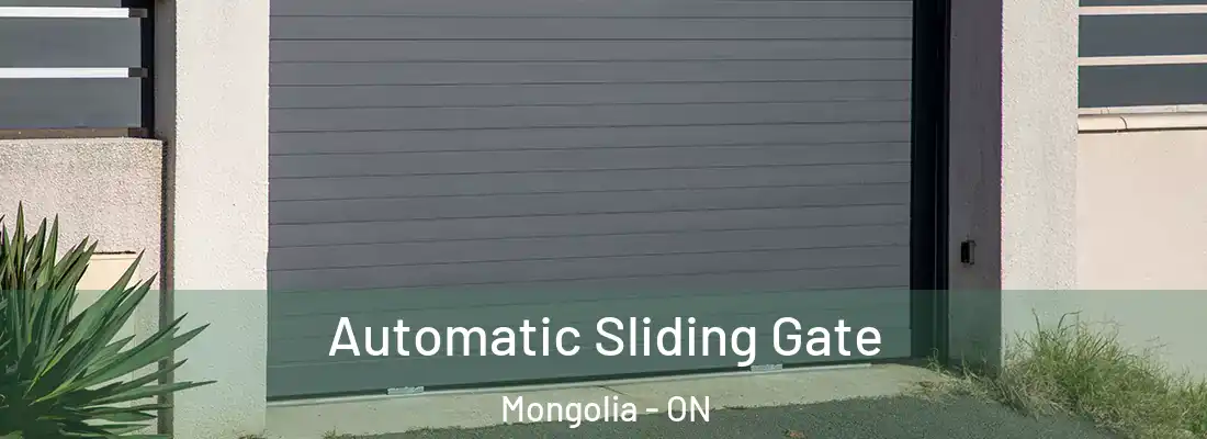  Automatic Sliding Gate Mongolia - ON