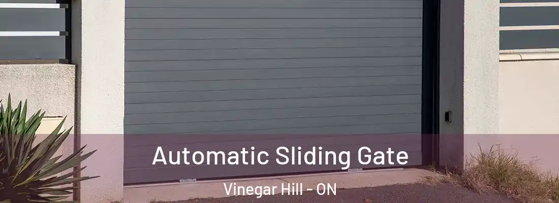  Automatic Sliding Gate Vinegar Hill - ON
