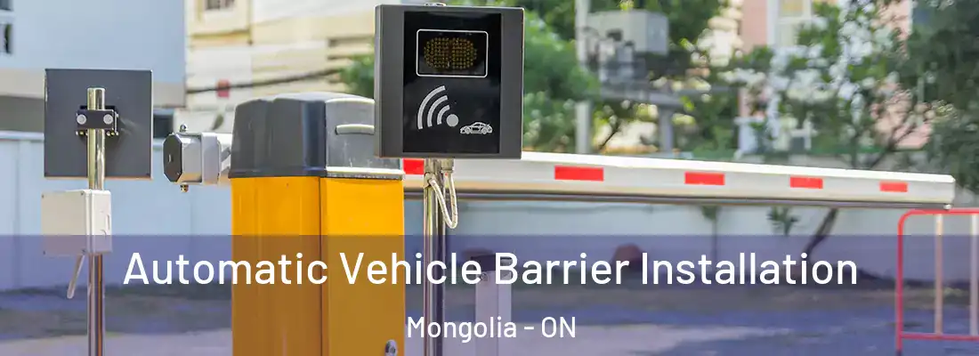  Automatic Vehicle Barrier Installation Mongolia - ON