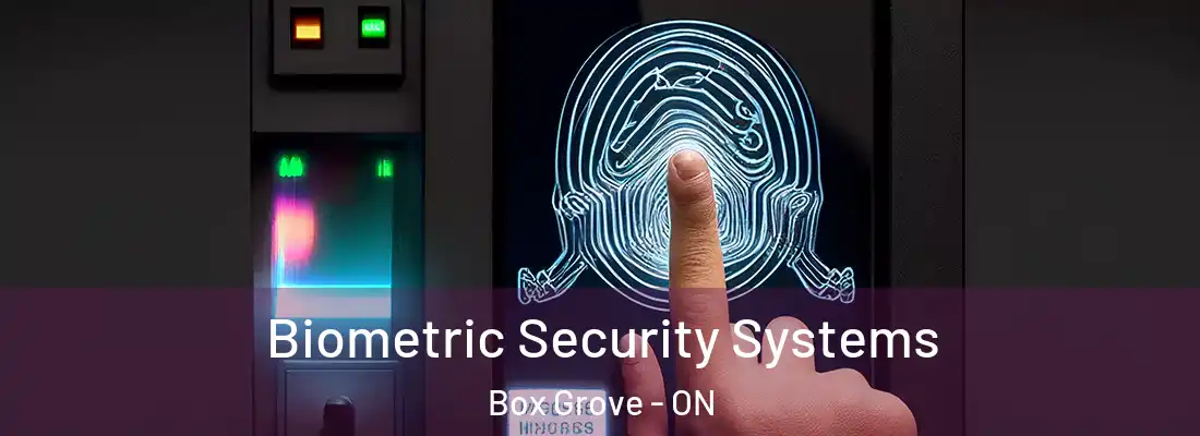  Biometric Security Systems Box Grove - ON