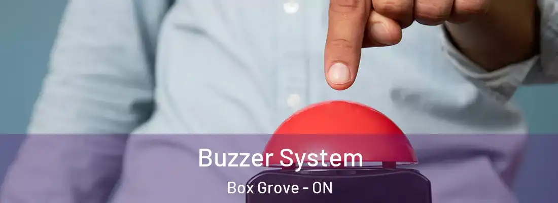  Buzzer System Box Grove - ON