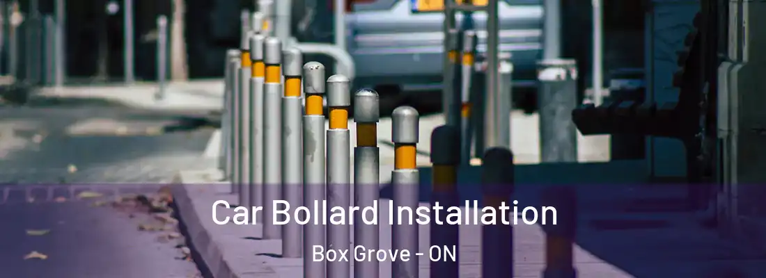  Car Bollard Installation Box Grove - ON