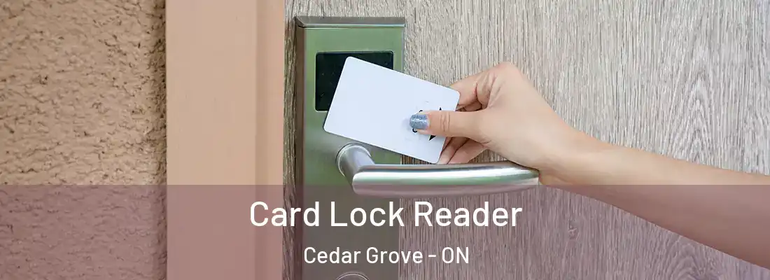  Card Lock Reader Cedar Grove - ON