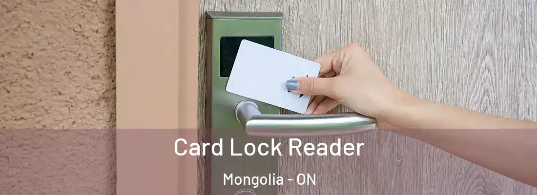  Card Lock Reader Mongolia - ON