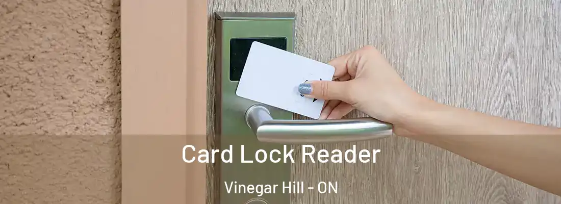  Card Lock Reader Vinegar Hill - ON