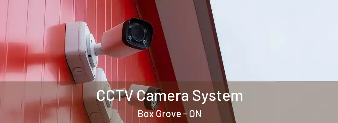  CCTV Camera System Box Grove - ON