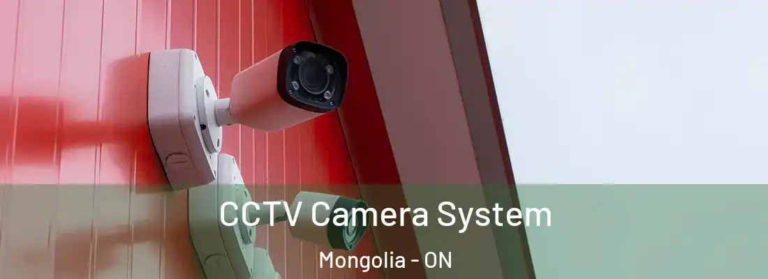  CCTV Camera System Mongolia - ON