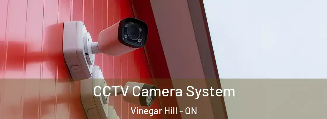  CCTV Camera System Vinegar Hill - ON