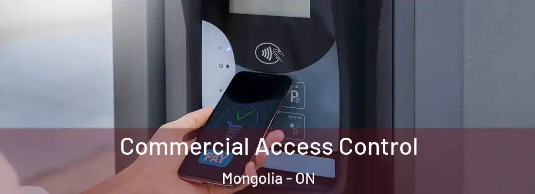  Commercial Access Control Mongolia - ON