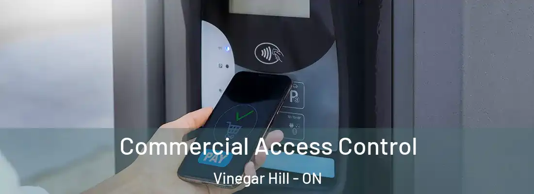  Commercial Access Control Vinegar Hill - ON