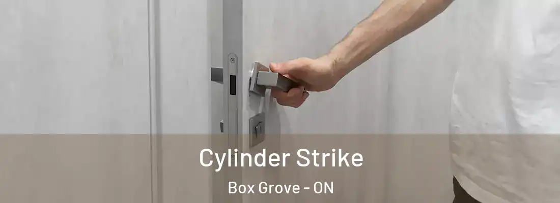  Cylinder Strike Box Grove - ON