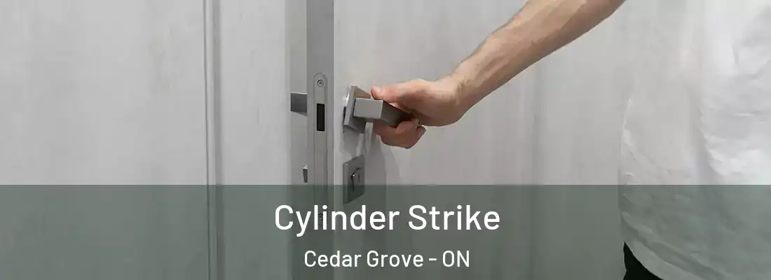  Cylinder Strike Cedar Grove - ON