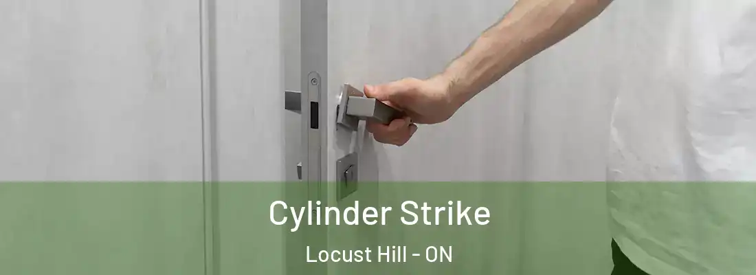  Cylinder Strike Locust Hill - ON