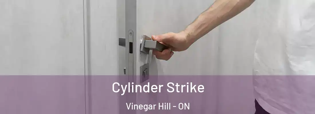  Cylinder Strike Vinegar Hill - ON
