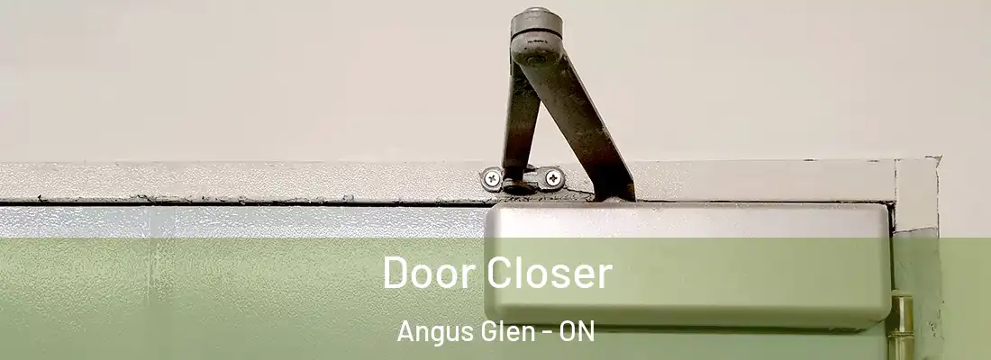  Door Closer Angus Glen - ON