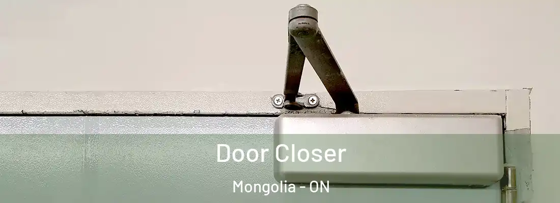  Door Closer Mongolia - ON