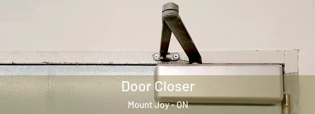  Door Closer Mount Joy - ON