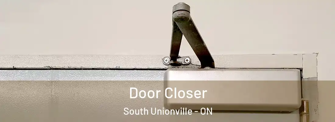  Door Closer South Unionville - ON