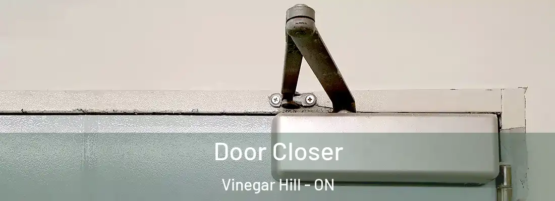  Door Closer Vinegar Hill - ON