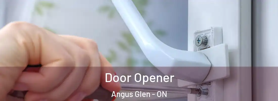  Door Opener Angus Glen - ON