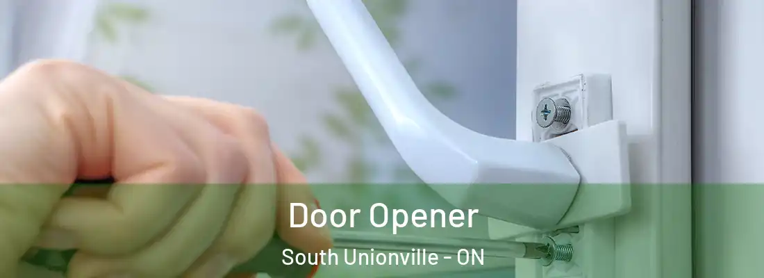  Door Opener South Unionville - ON
