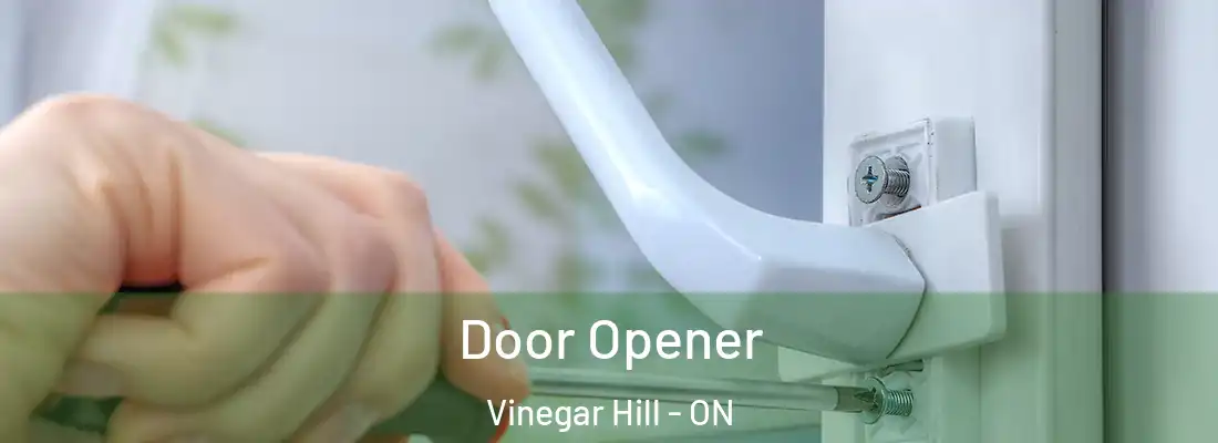  Door Opener Vinegar Hill - ON