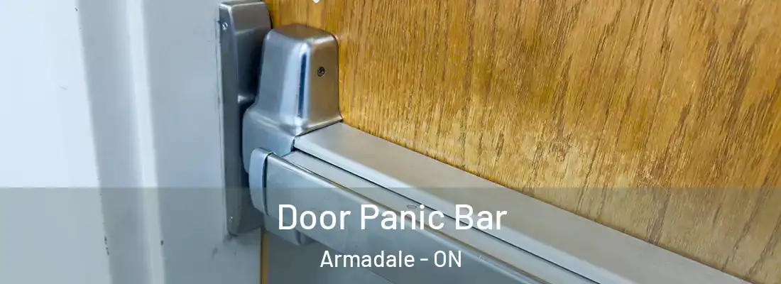  Door Panic Bar Armadale - ON
