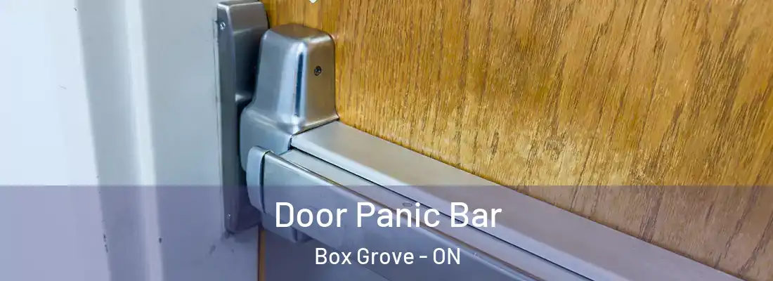  Door Panic Bar Box Grove - ON