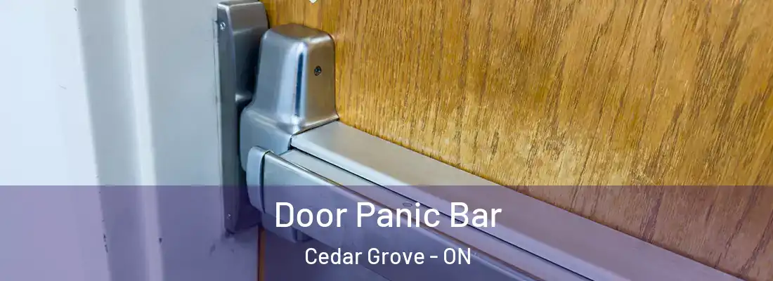  Door Panic Bar Cedar Grove - ON