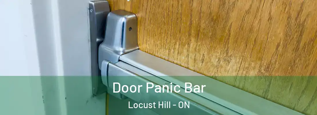  Door Panic Bar Locust Hill - ON
