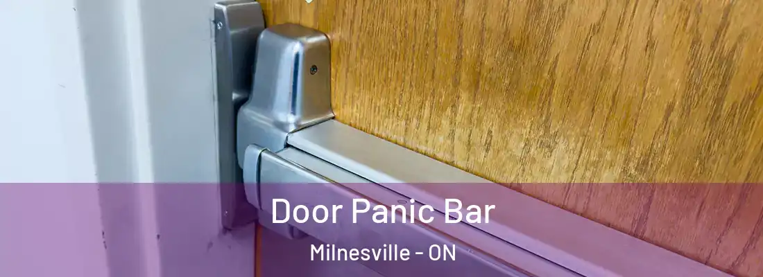  Door Panic Bar Milnesville - ON