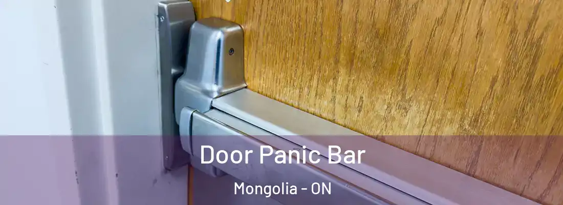  Door Panic Bar Mongolia - ON