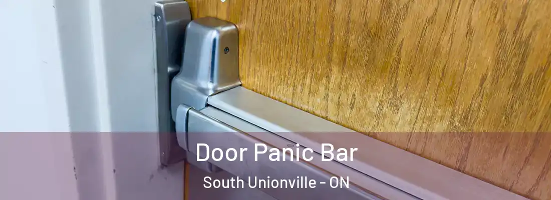  Door Panic Bar South Unionville - ON