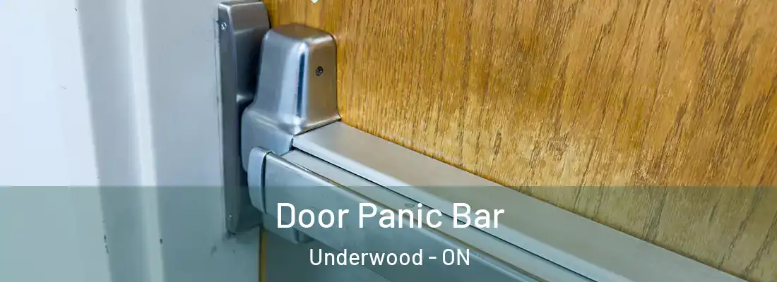  Door Panic Bar Underwood - ON