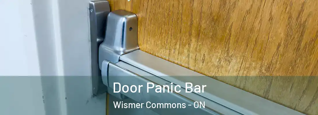  Door Panic Bar Wismer Commons - ON