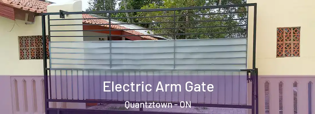  Electric Arm Gate Quantztown - ON