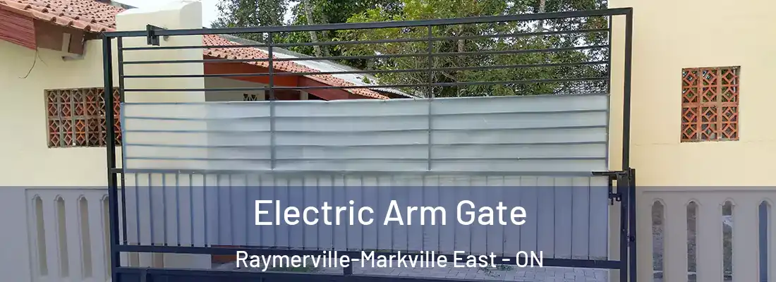  Electric Arm Gate Raymerville-Markville East - ON