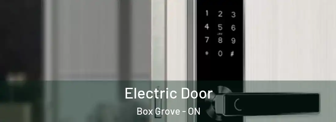 Electric Door Box Grove - ON